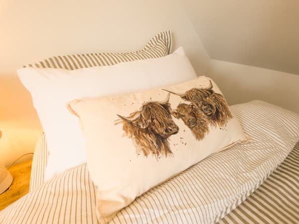 Highland cow cushions